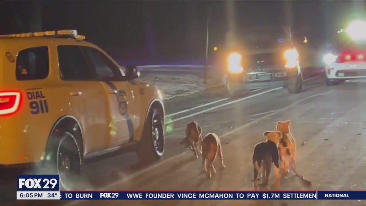 2 injured after vicious dog attack in Fairmount Park